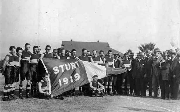 sturt 1919.jpg