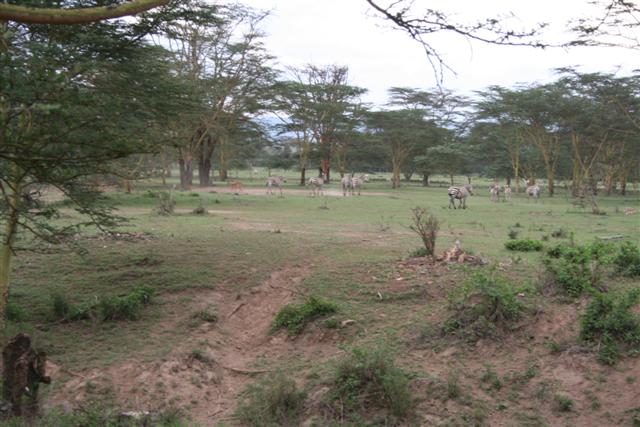 kenya trip 100 (Small).jpg