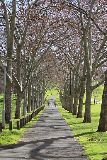 Adelaide parklands.jpg