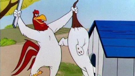 chook.jpg